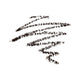 Brow Definer - Capitalstoreoman.com